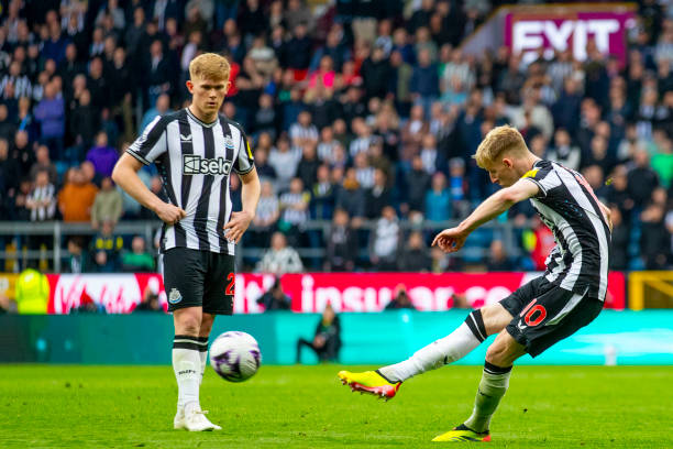 并援引了皇 并援引了皇